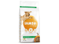 IAMS Granule pre psov ADULT 1+ LARGE s čerstvým kuracím 3 kg