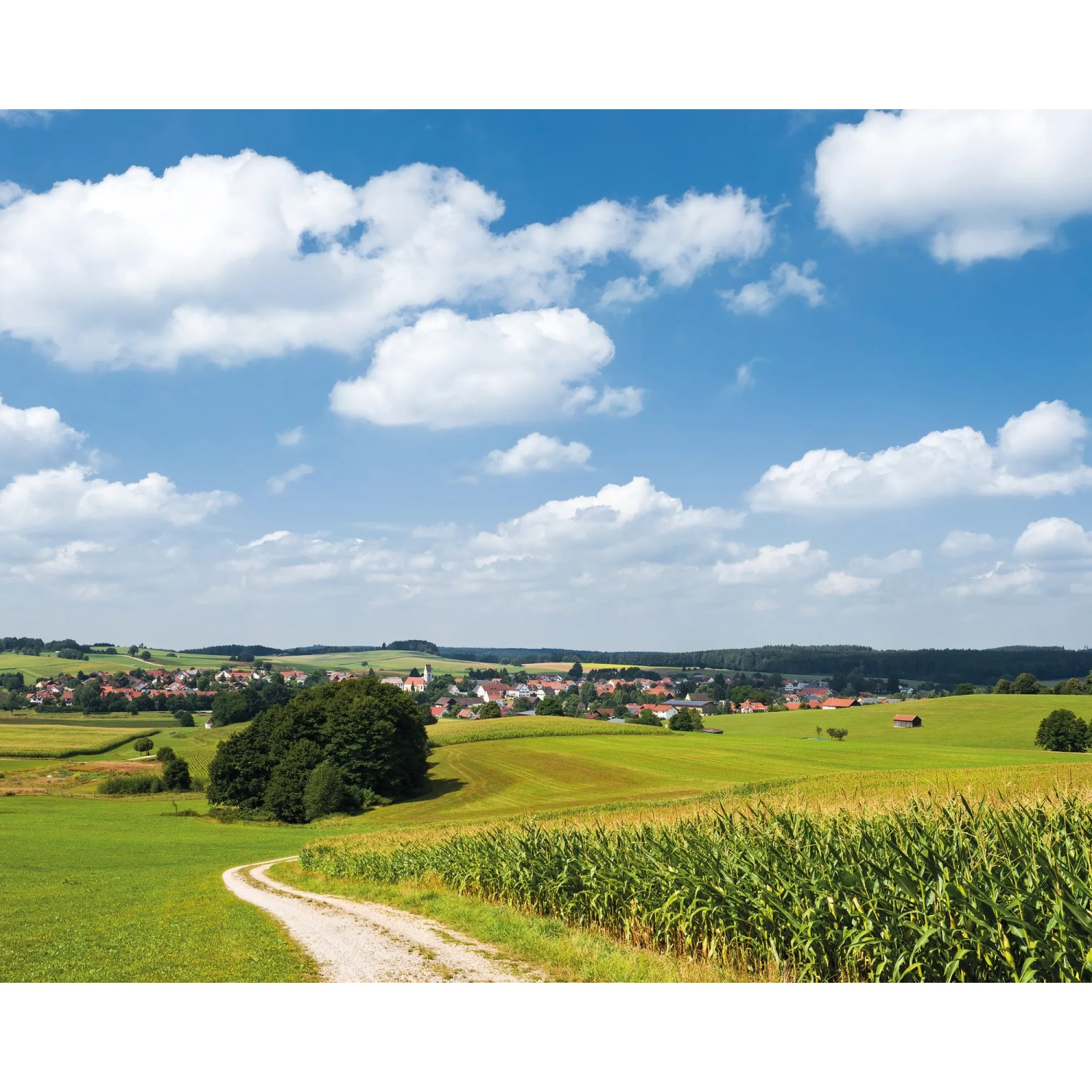 E-shop Komar Vliesová fototapeta Bayrische Idylle 350 x 280 cm