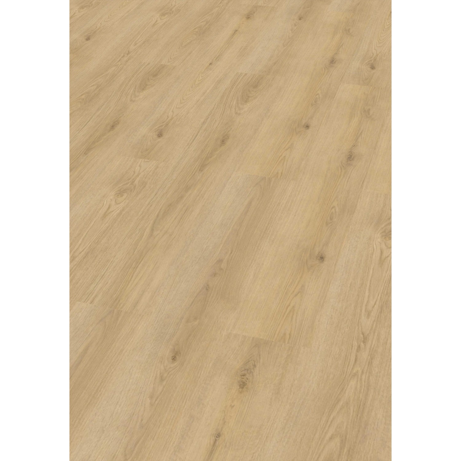 Check ONE Vinylová podlaha Standard Long&Wide 2484 dub Marienthal 1524x228x6,5mm