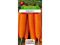 Semienka Mrkva skorá Karotka Nantes 5 (Daucus carota L.)