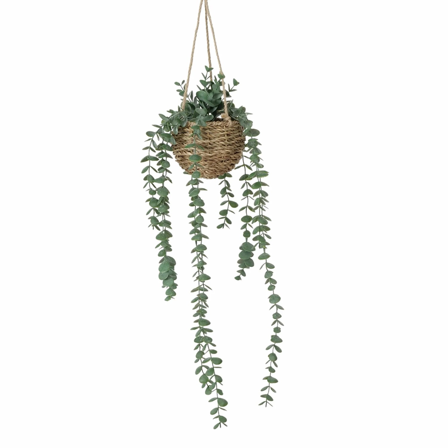 E-shop Boltze Umelá rastlina v kvetináči Ansel 78 x 18 x 78 cm, 1 ks