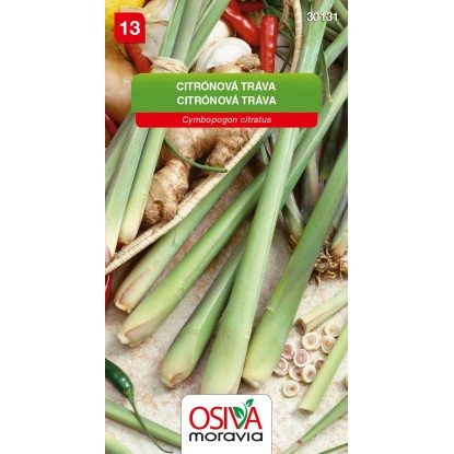 Osiva Moravia Semienka Citrónová tráva (Cymbopogon citratus)