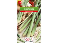 Osiva Moravia Semienka Citrónová tráva (Cymbopogon citratus)