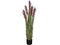 Mica Decorations Umelá kvetina pšeničná tráva v kvet., fialová, pr. 30 x 115 cm