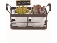 Aranžmán z echevérií Duo v železnom košíku priemer kvetináča cca 24 cm