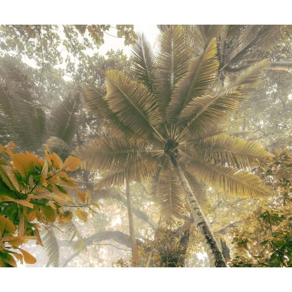 Komar Vliesová fototapeta Palms Panorama, 300 x 250 cm