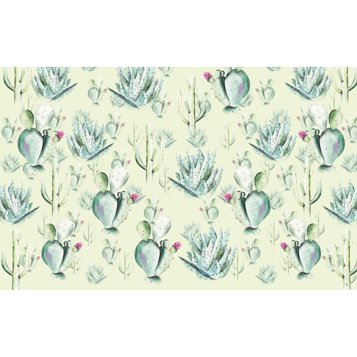 E-shop Komar Vliesová fototapeta Cactus Green 400 x 250 cm