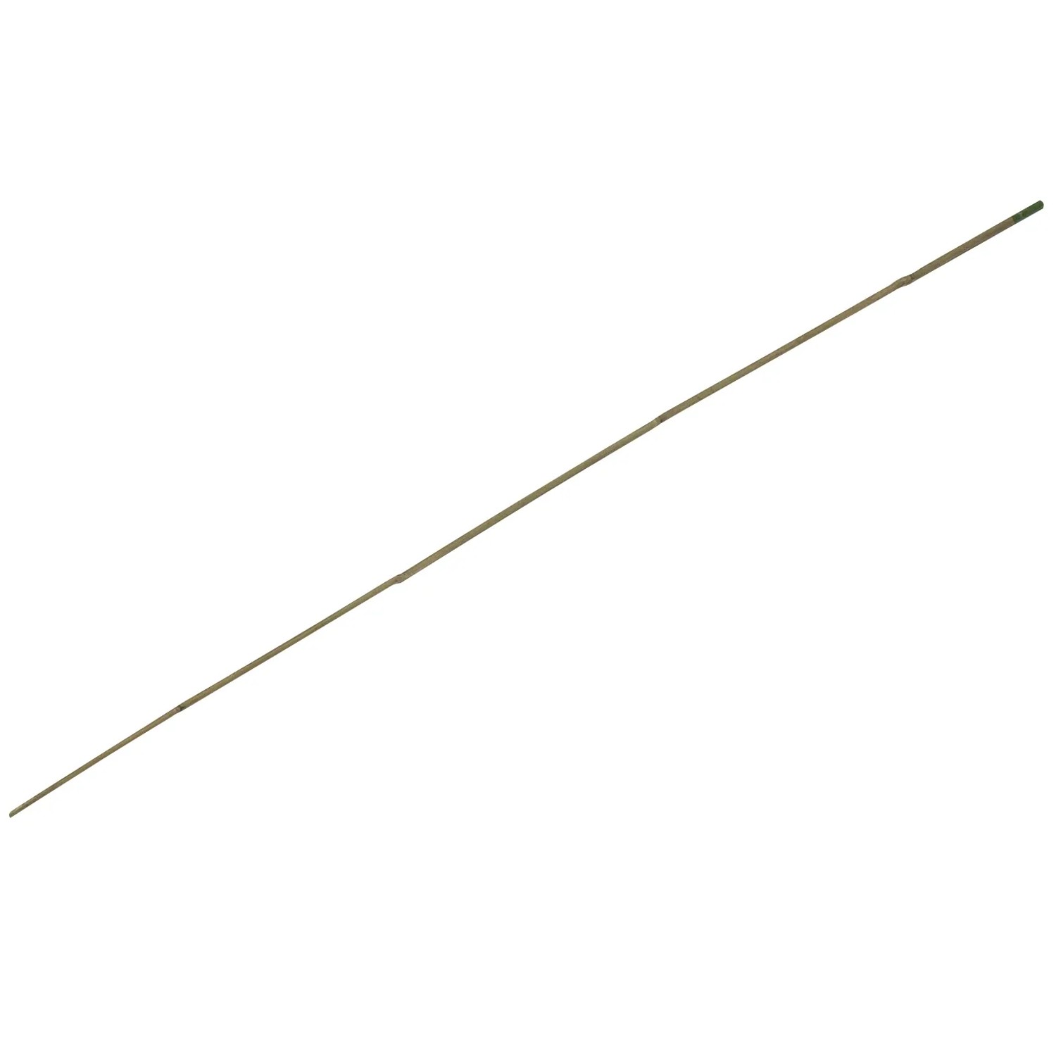 E-shop OBI Bambusová tyč 120 cm x priemer 2 cm