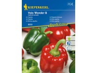 Kiepenkerl Paprika (Capsicum annuum) Yolo Wonder B