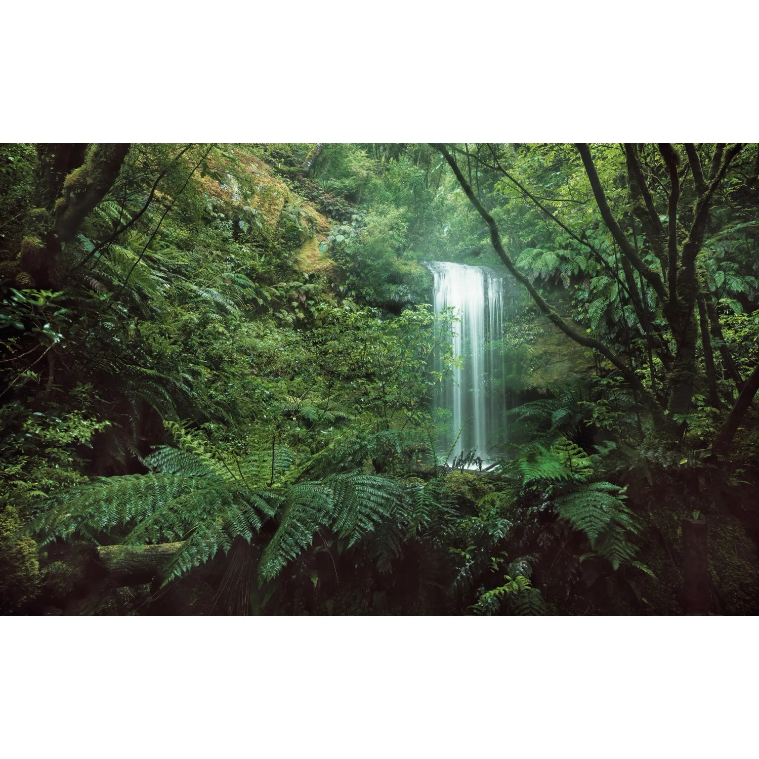E-shop Komar Vliesová fototapeta Tajuplný závojový vodopád, 450 x 280 cm