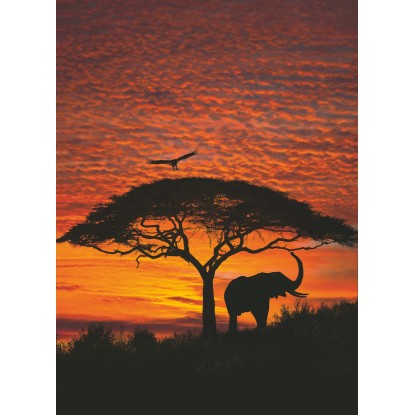 Komar Papierová fototapeta African Sunset, 194 x 270 cm