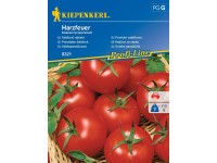Kiepenkerl Šalátové paradajky (Solanum lycopersicum) Harzfeuer F1