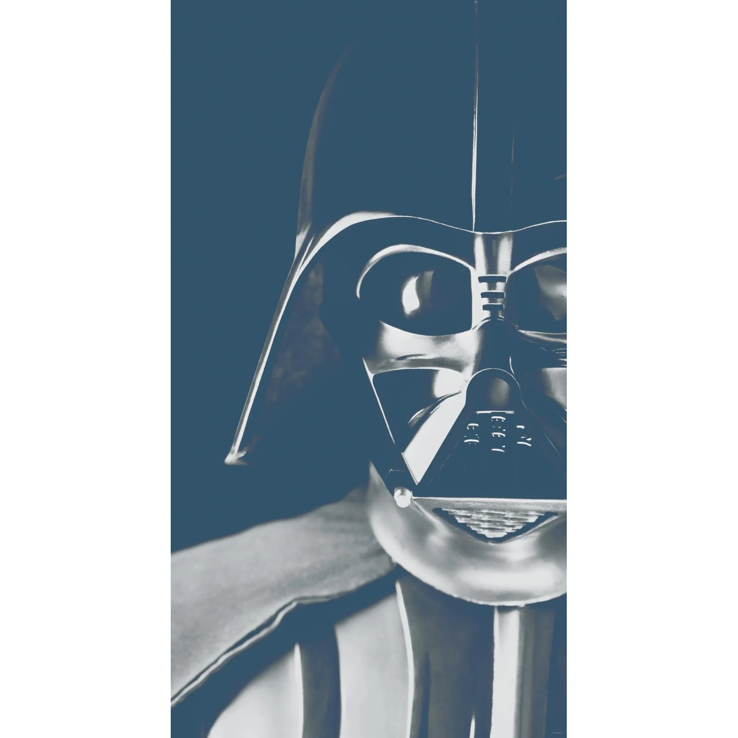 E-shop Komar Vliesová fototapeta Star Wars Classic Icons Vader 150 x 280 cm