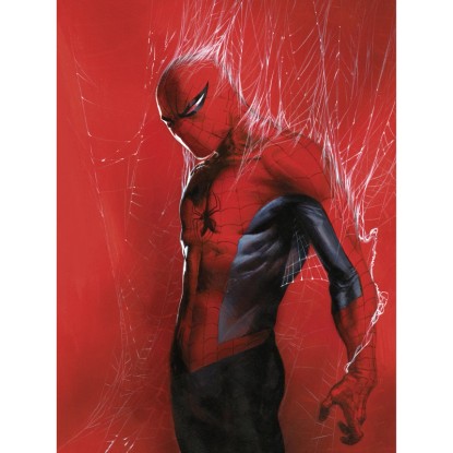 Komar Plagát Marvel Spider-Man Through the Spider Web 30 cm x 40 cm