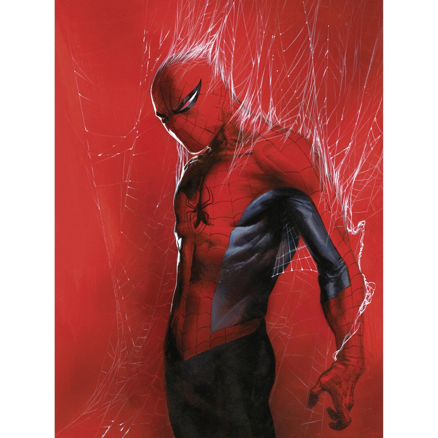E-shop Komar Plagát Marvel Spider-Man Through the Spider Web 30 cm x 40 cm