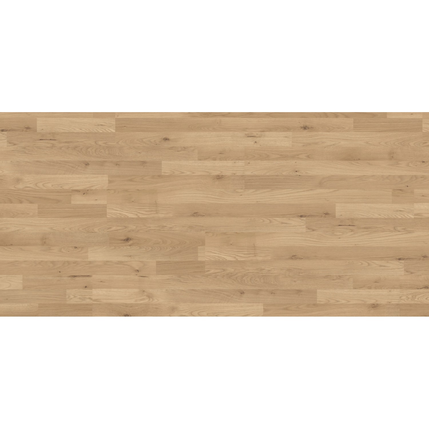 E-shop Kaindl Laminátová podlaha 37528 dub Trevi 1380 x 193 x 6 mm