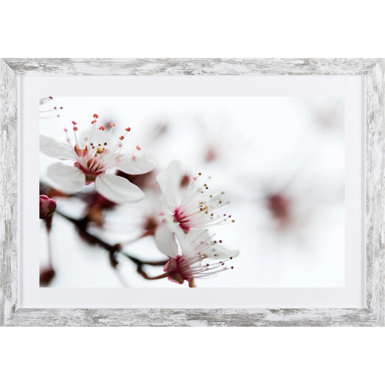 E-shop Bondecor Obraz v modernom ráme Flora 37 x 53 cm