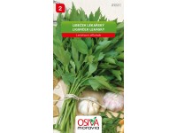 Osiva Moravia Semienka Ligurček lekársky (Levisticum officinale)