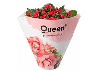 GROW by OBI Kolopejka vďačná (Kalanchoe) dvojkvetá červená 20-25 cm pr. 105 cm