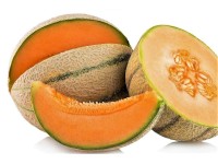 Melón cukrový (Cucumis melo), pr. kv. 12 cm