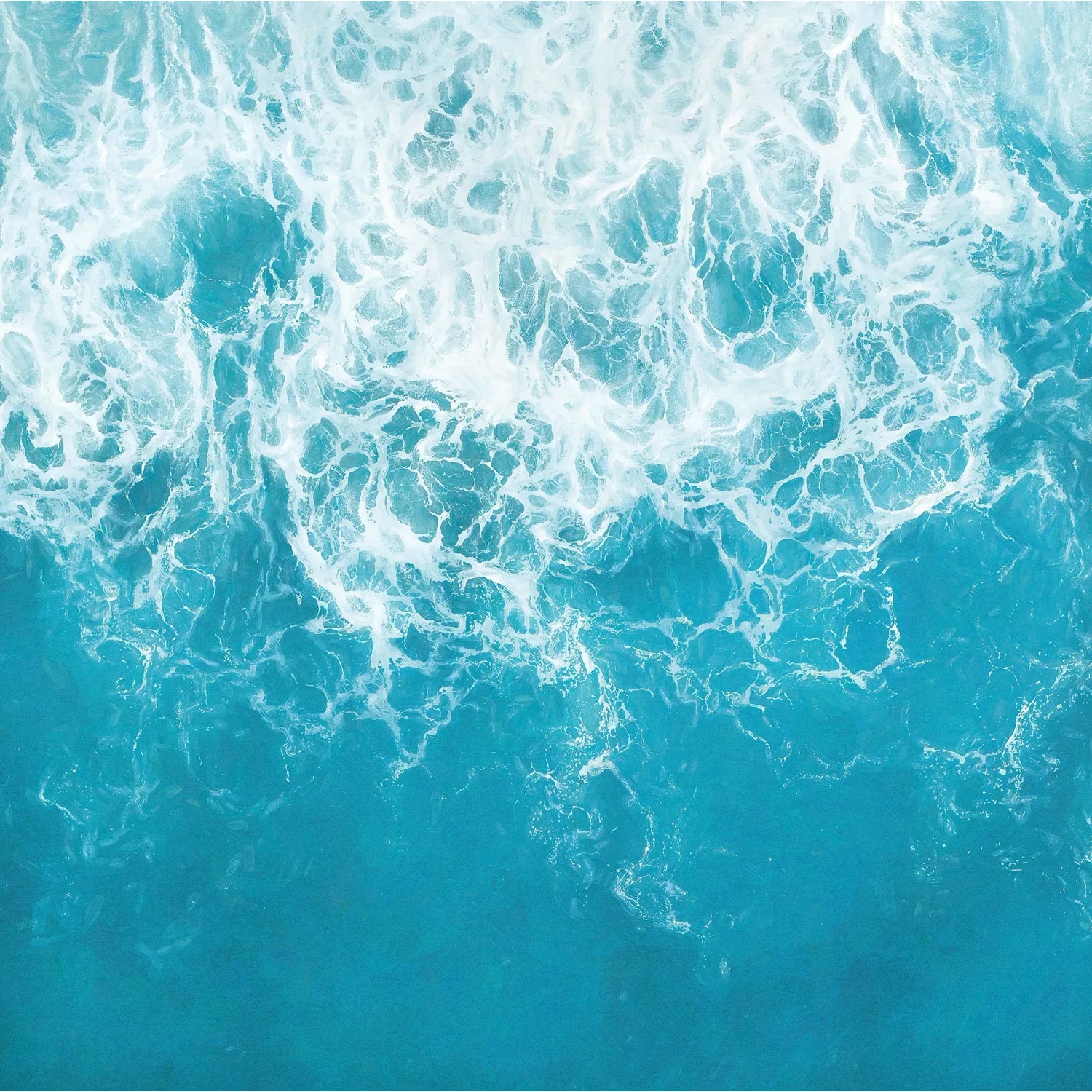 E-shop Komar Vliesová fototapeta The Shore 250 x 250 cm