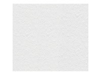 A. S. Creation Pretierateľná vliesová tapeta Meistervlies Creativ biela 141118