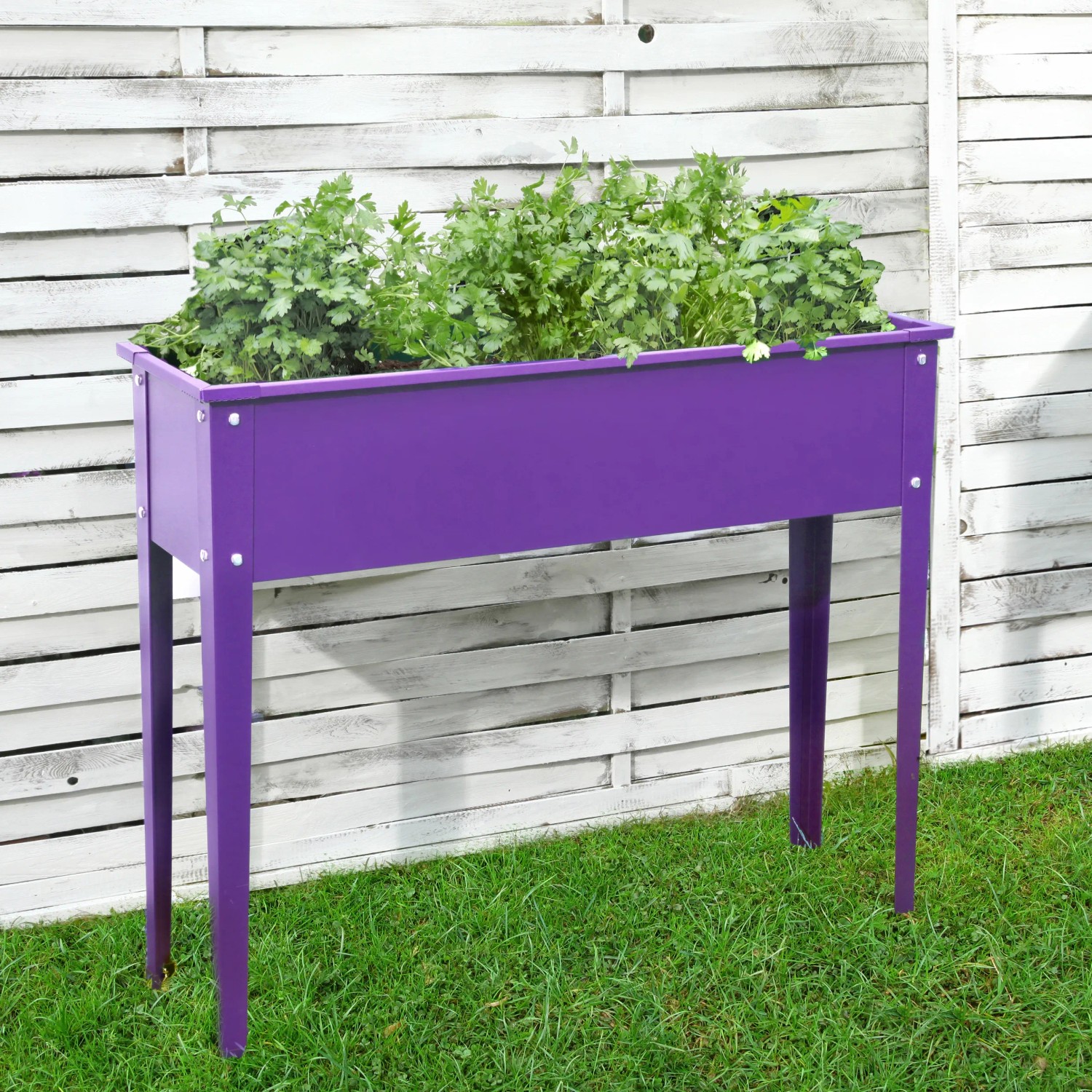 E-shop Floraworld Vyvýšený záhon Season purpurový 100 x 30 x 80 cm