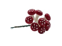 BD-Tova Muchotrávka lakovaná vo zväzku, na upevnenie, 25 mm