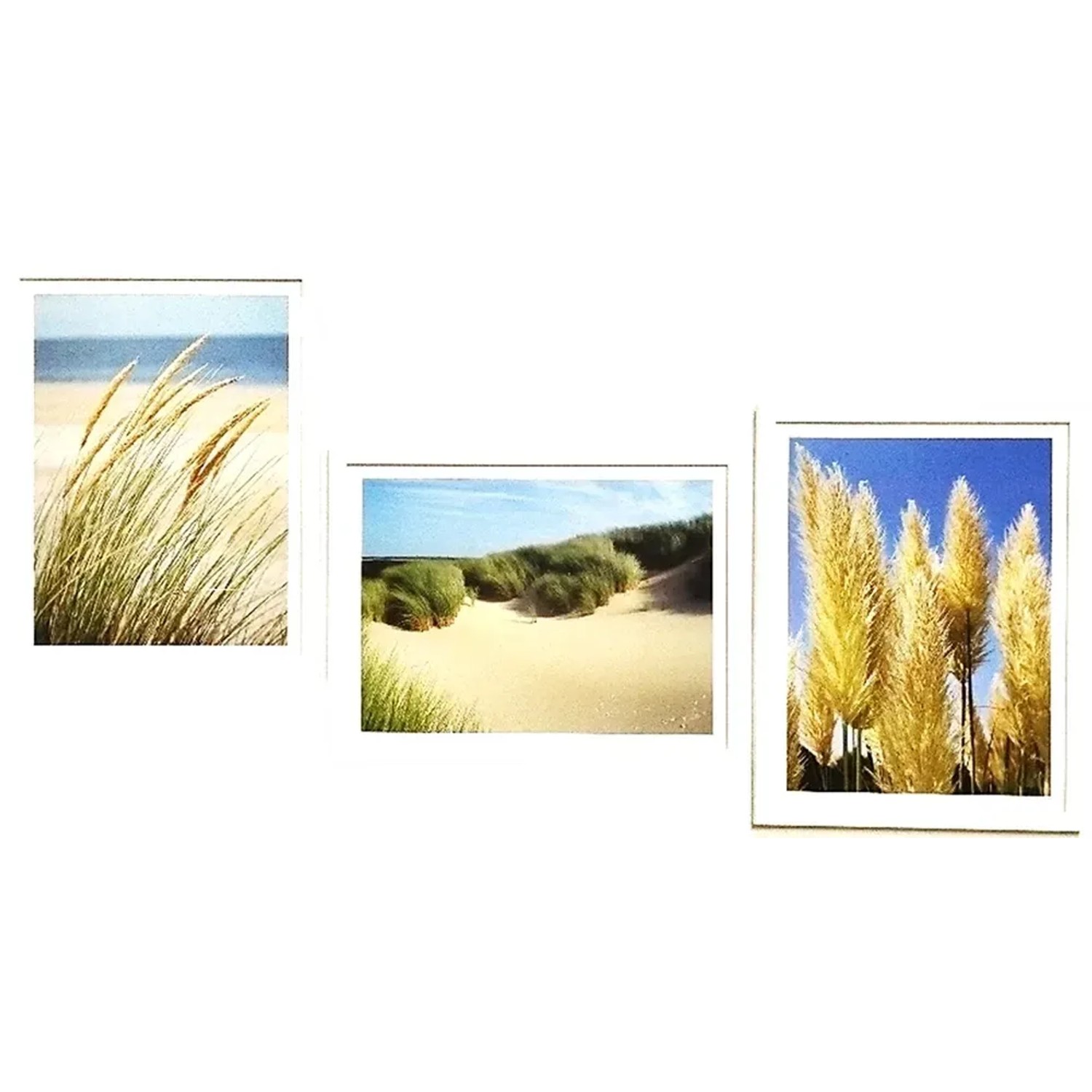 E-shop Bondecor Súprava obrazov Grass 42 x 98 cm