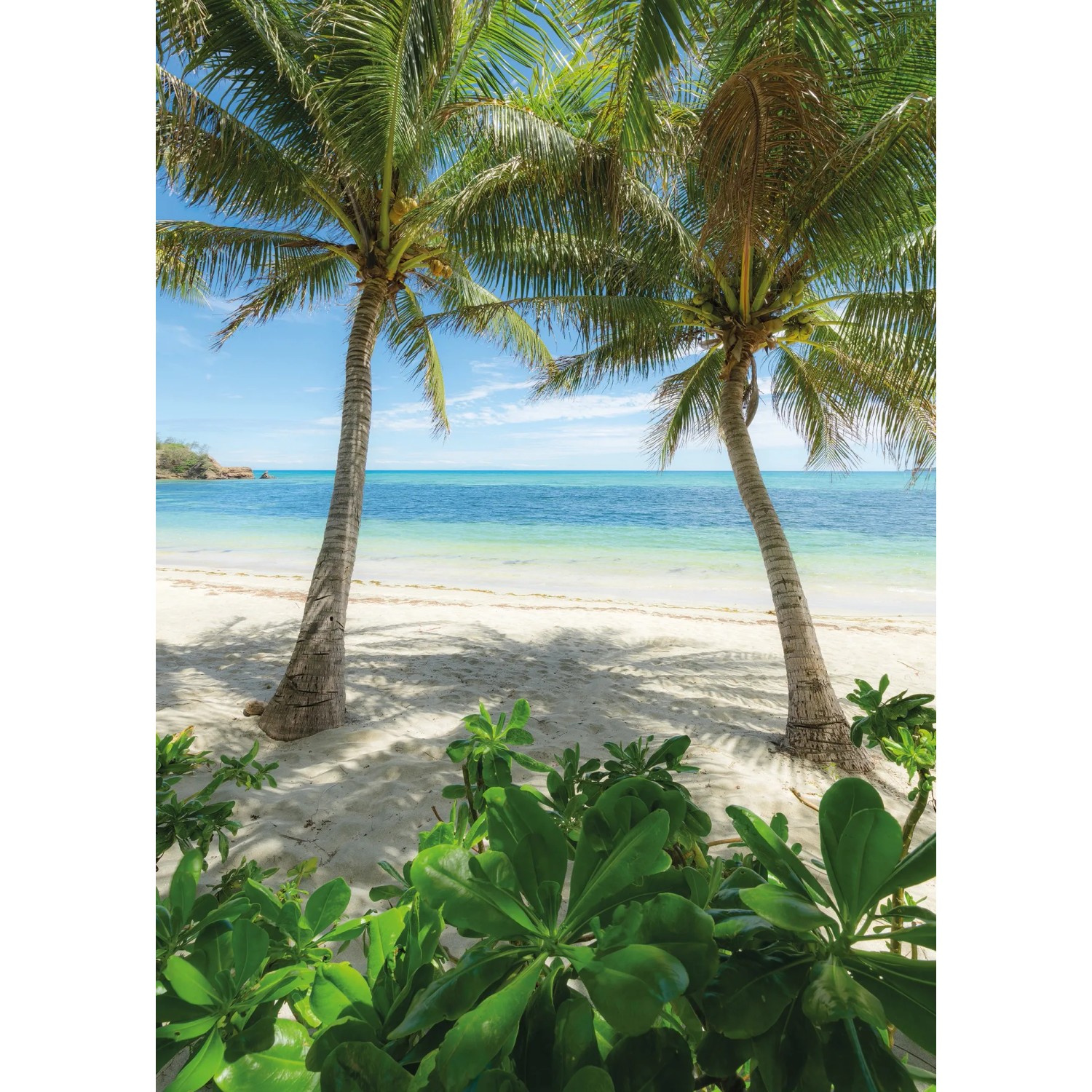 E-shop Komar Vliesová fototapeta Palmy Beach 200 x 280 cm