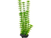 Tetra Rastlina do akvária Ambulia M 23 cm Tetra Rastlina do akvária Ambulia M 23 cm