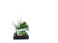 OBI Plávajúci ostrov v zmiešanom koši priemer kvetináča cca 18 cm