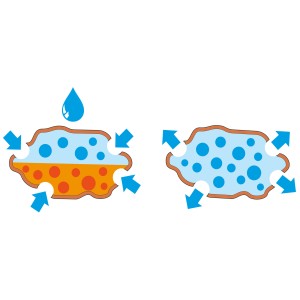 Diagram: Funkcia granulátu Seramis, absorpcia a uvoľňovanie vody pre izbové rastliny.