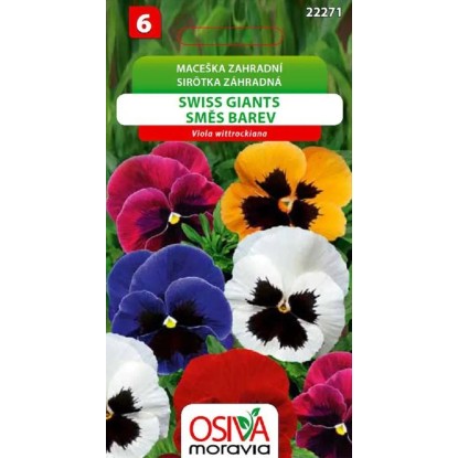 Semienka Sirôtka záhradná Swiss giants, zmes farieb (Viola wittrockiana)