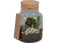 Green Bottle® Mix kaktusov v sklenenom valci pr. kvetináča cca 19 cm