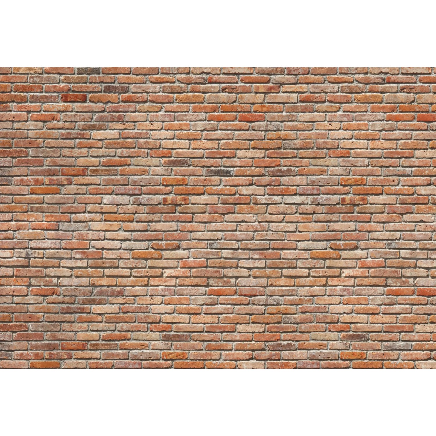 E-shop Komar Papierová fototapeta Backstein, 368 x 254 cm
