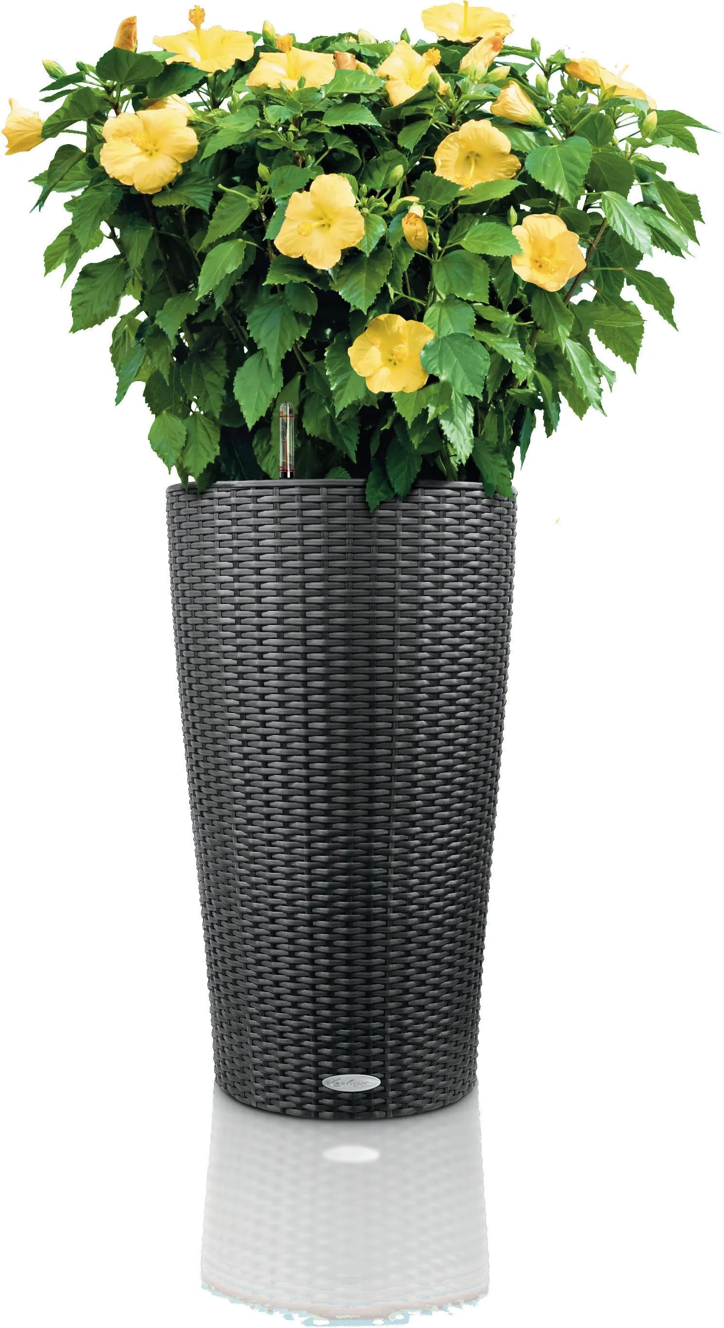 Pot De Fleur Haut Lechuza Cilindro COTTAGE 32 Komplettset Sandbraun 15368 | Im Lechuza Balconera