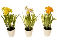 EverGreen Umelá kvetina narcis v kvetináči, rôzne druhy, 22 cm