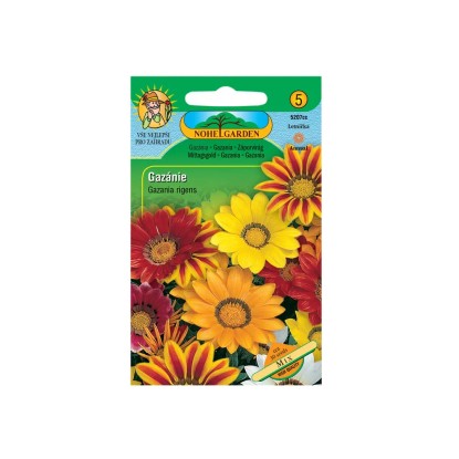Gazánia žiarivá zmes