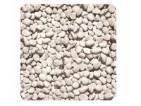 Kleine Wolke Protišmyková podložka do sprchy Stepstone prírodná 55 x 55 cm Kleine Wolke Protišmyková podložka do sprchy Stepstone prírodná 55 x 55 cm