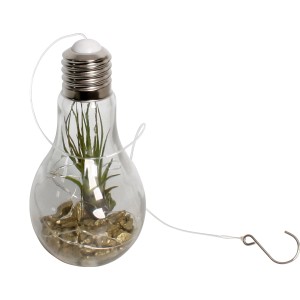 Závesná Tillandsia v žiarovke (kvetináč 9cm) so zlatými kameňmi, ideálna ako dekorácia do interiéru.