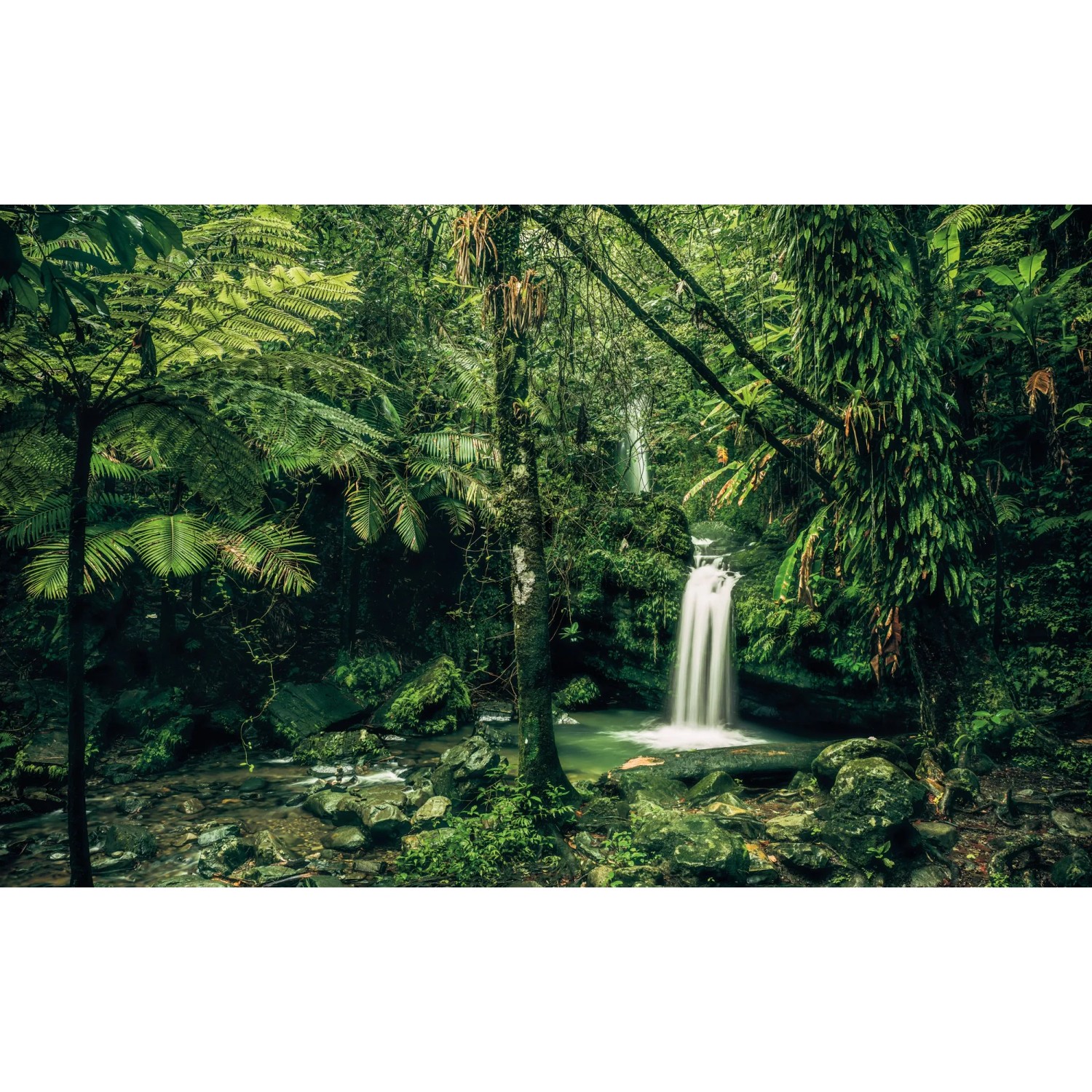 E-shop Komar Vliesová fototapeta My Hidden Treasure 400 x 250 cm