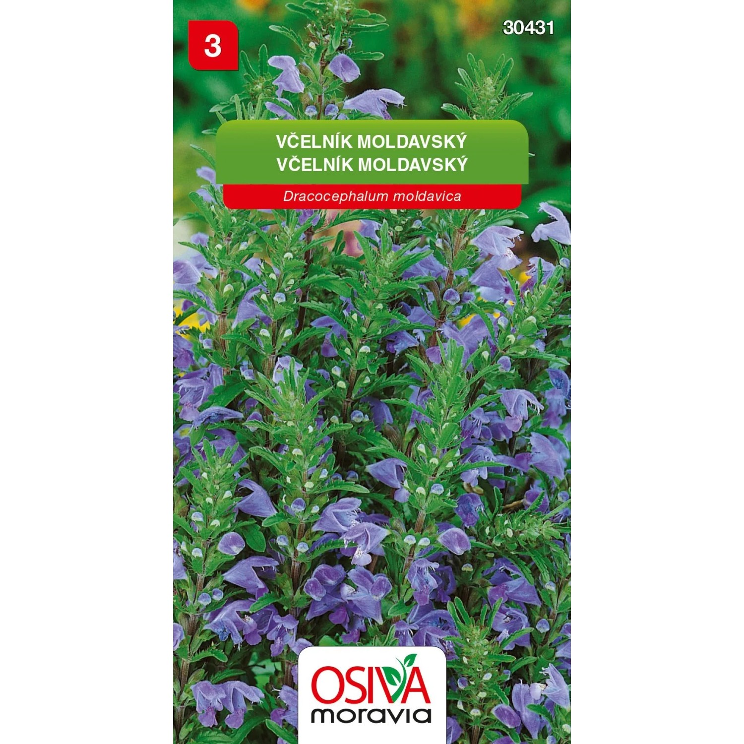 E-shop Osiva Moravia Semienka Včelník moldavský