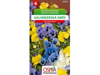 Semienka Sirôtka záhradná Aalsmeerská zmes (Viola wittrockiana)