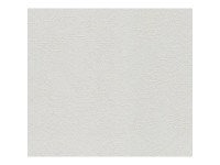 A. S. Creation Pretierateľná vliesová tapeta Meistervlies Creativ biela 103512