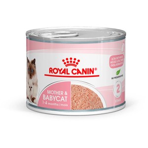 Royal Canin Mother & Babycat Mousse, mokré krmivo pre mačky a mačiatka v konzerve.