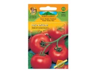 Rajčiak kríčkový GALERA guľatý