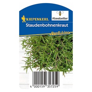 Kiepenkerl Saturejka horská v kvetináči so zelenými listami. Kuchynská bylina pre výdatné jedlá.
