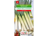 Semienka Pór pestovaný Lungo Della Riviera (Allium porrum)