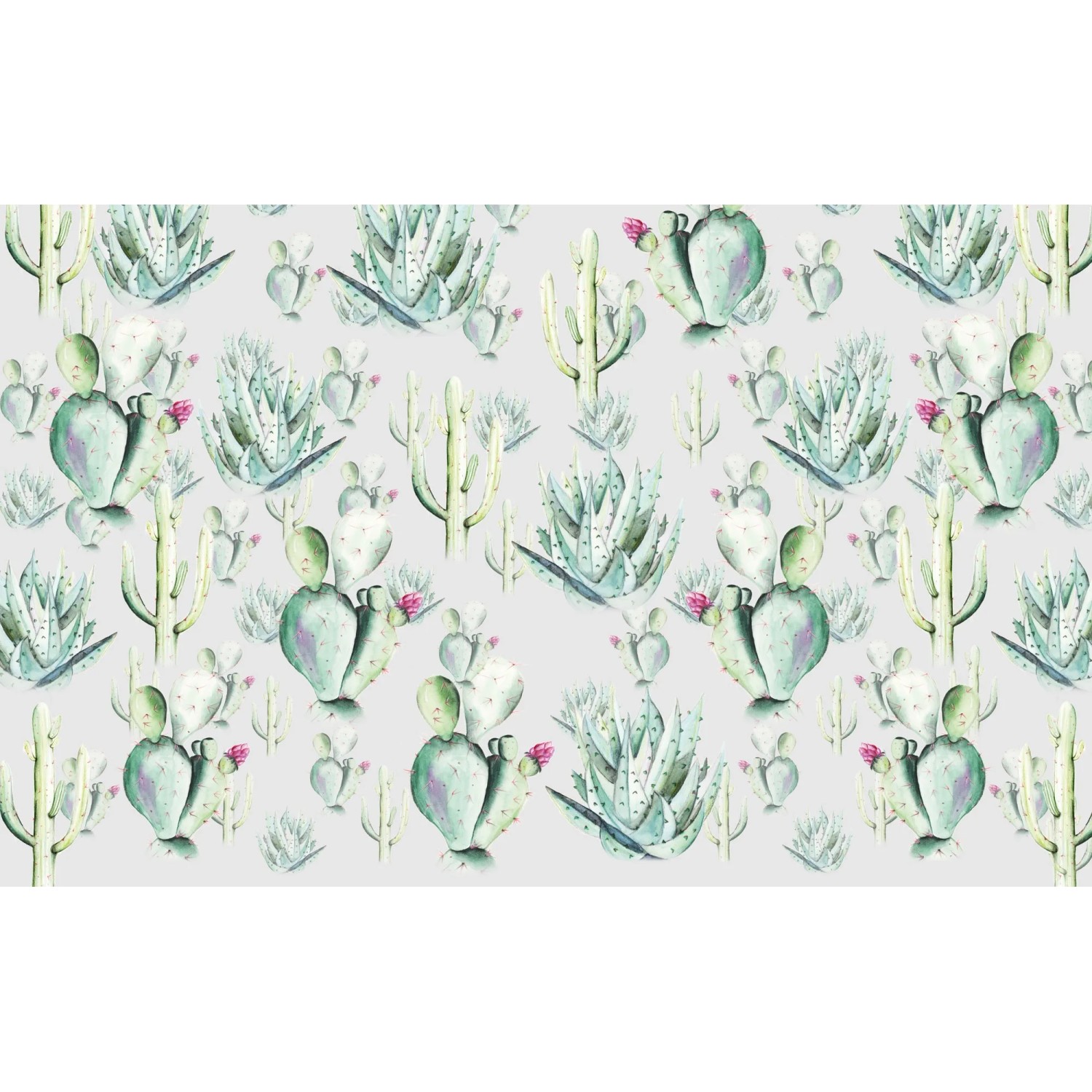 E-shop Komar Vliesová fototapeta Cactus Grey 400 x 250 cm